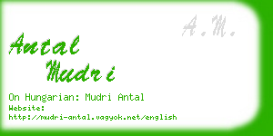 antal mudri business card